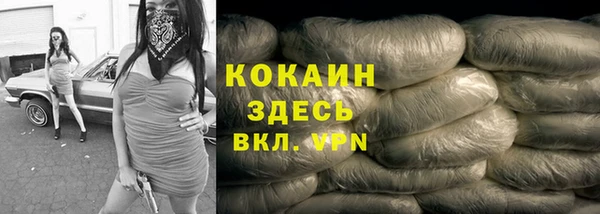 стафф Инта