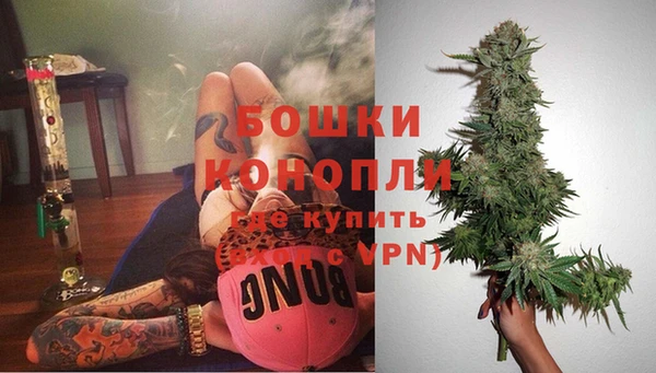 метадон Каменногорск