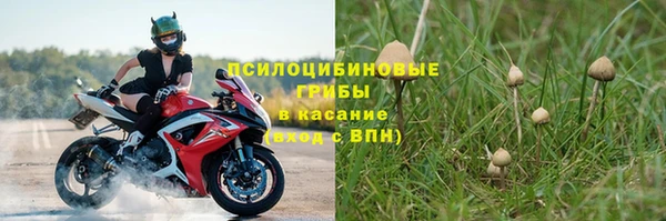 меф Инсар