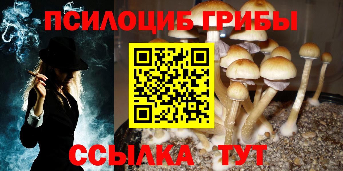 Псилоцибиновые грибы Magic Shrooms  Галлюциногенные грибы ЛСД  Каменка  Вход с VPN 