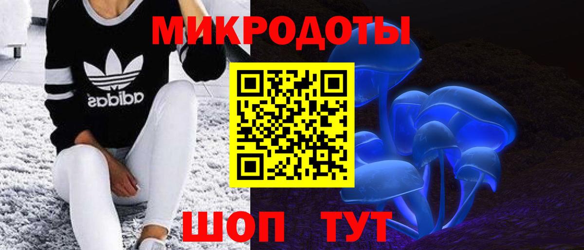 Псилоцибиновые грибы MAGIC MUSHROOMS Каменка